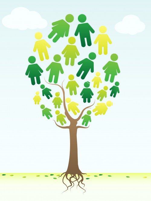 family history tree