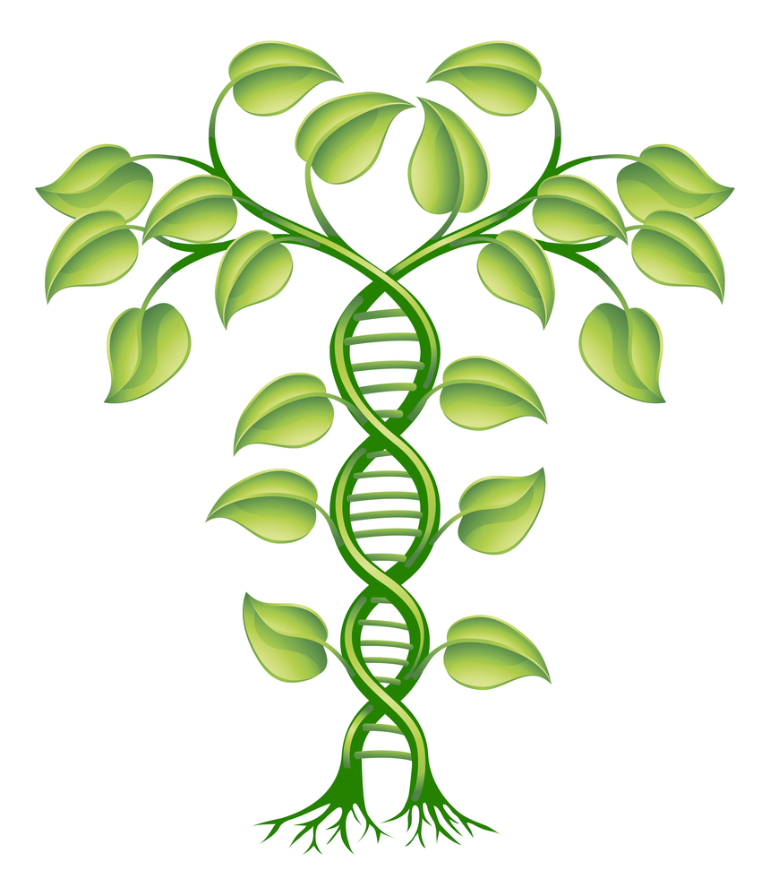 genetic family tree