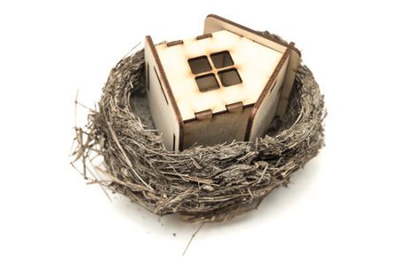 house in nest