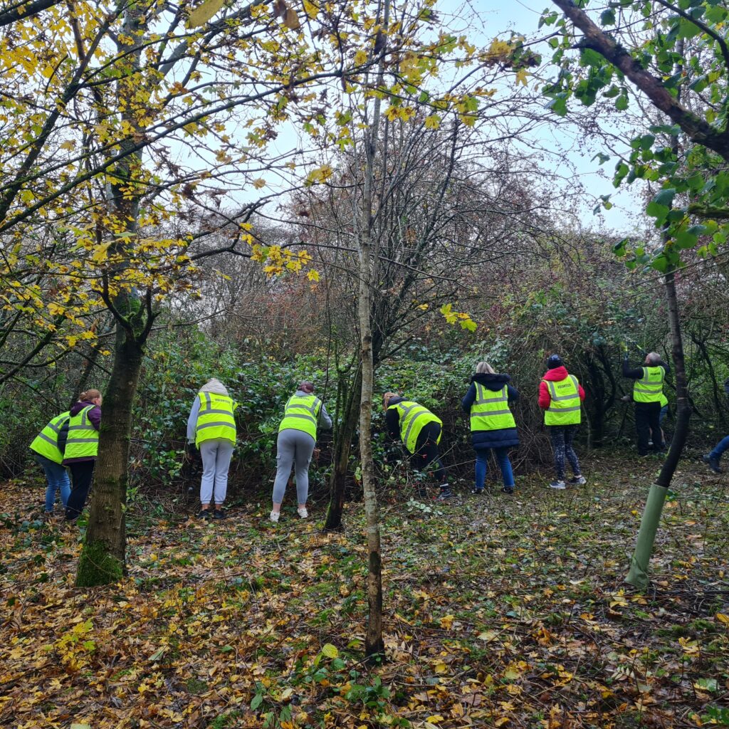 8 adults in high-visibility vests tidying a woodland area